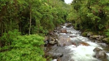 Yoğun orman yeşilliğinin ortasında Caldera Nehri ile bozulmamış doğa. Baru Volkan Ulusal Parkı, Panama 'daki el değmemiş yağmur ormanlarından akan temiz çağlayan sular..