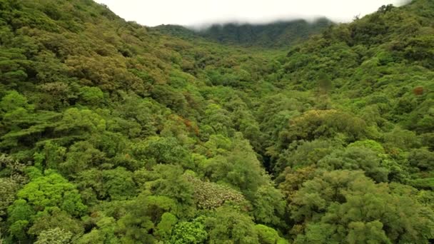 Aerial Luxueus Ongerept Tropisch Regenwoud Prachtige Panamese Hooglanden Adembenemend Uitzicht — Stockvideo