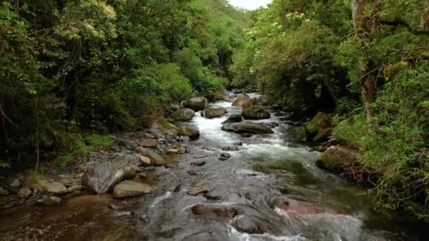 Skalnaté Koryto Řeky Čerstvou Řekou Caldera Protékající Hustým Deštným Pralesem — Stock video