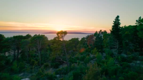Aerial Wspaniały Widok Las Sosnowy Kierunku Morza Wyspami Zachodzącym Słońcem — Wideo stockowe