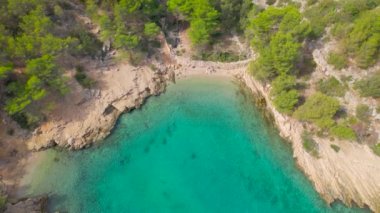Kristal berrak mavi deniz ve güneşli Hvar adasındaki sevimli küçük körfez. Kayalık bir sahil boyunca dağılmış küçük deniz koyları Adriyatik Denizi 'ndeki bir adada çam ormanlarıyla çevrili..