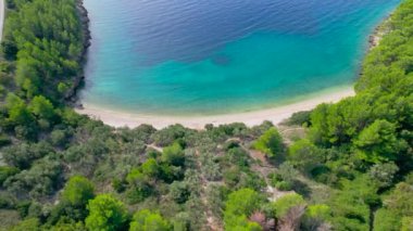 Minik çakıl taşlı plaj ve güneşli Hvar adasında berrak mavi deniz. Kayalık bir sahil boyunca dağılmış, Adriyatik Denizi 'ndeki bir adada çam ormanlarıyla çevrili küçük deniz koyları..