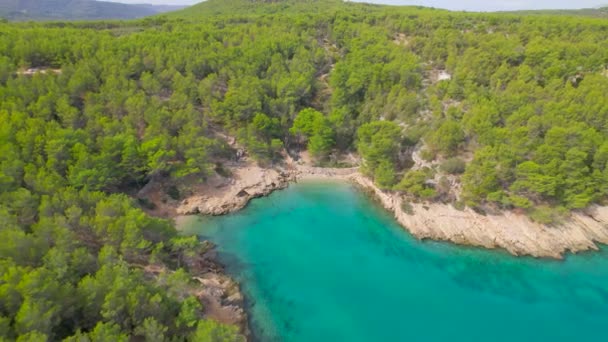 Aerial Kleine Bucht Umgeben Von Üppigem Pinienwald Und Atemberaubend Klarem — Stockvideo