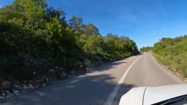 青い空の下で緑豊かな松林を介してアスファルトの道路に沿って白い車の運転 舗装された道路を岩の風景に刻まれ 日当たりの良いアドリア海の島Hvarの緑の松の木に囲まれた巻き — ストック動画