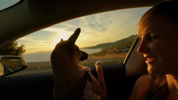 靠近点 莱恩丝 弗拉尔 年轻的女士坐在乘客座位上 腿上抱着一只可爱的狗 她正和她的毛茸茸的朋友在美丽的亚得里亚海度过暑假 在金色的夕阳下开车兜风 — 图库视频影像