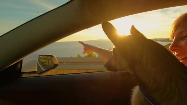 走近点 莱恩丝 弗拉尔 一个带着狗在金色日落时沿着海滨开车的年轻女人 她坐在乘客座位上笑着 带着她可爱的宠物去海滨度假 — 图库视频影像