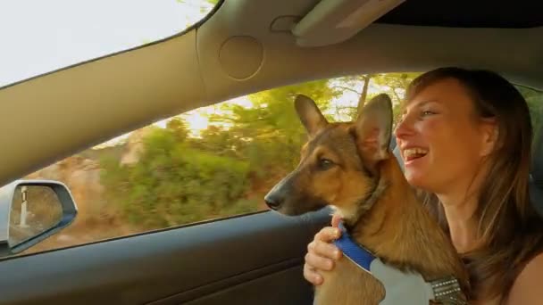 閉じる レンズフレア 幸せな女性は 彼らが海辺で車で運転しながら 彼女の犬を保持しています 彼女は助手席で笑っていてかわいいペットを見せています彼らは海辺で夏休みを過ごしています — ストック動画