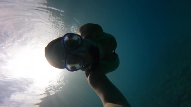 アドリア海でシュノーケリングをしながら青い海に潜るスポーティ女性 水面下の美しく静かな世界を探求している 海辺での休日のための冒険的な活動 — ストック動画