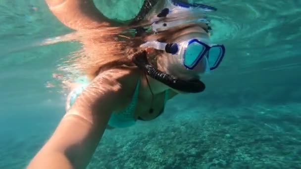 浅い青い水でシュノーケリングし 海底世界を探索する女性 ダイビングマスクを通して水中の素晴らしい世界を見ている間 彼女はフィンで泳いでいるとシュノーケリングを通して呼吸しています — ストック動画