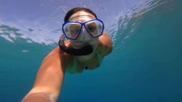 かなりの女性が深海に飛び込み 海底のすぐ上で泳ぐ 水面下の美しく静かな世界を探求している 海辺での休日のための冒険的な活動 — ストック動画