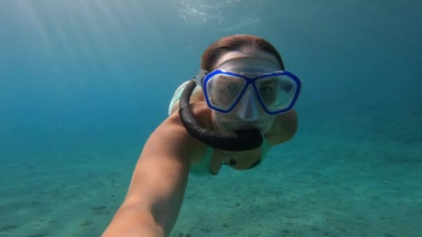 海底のすぐ上の深海で美しい女性がシュノーケリングをしています アドリア海の透き通った海で海洋世界を探検している 海辺での夏休みのための冒険的なスポーツ活動 — ストック動画