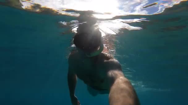 アドリア海の透き通った海をシュノーケリングする冒険的な男 彼はフィンで泳いでいて ダイビングマスクを通して海面下で驚くほど平和な環境を見ています — ストック動画