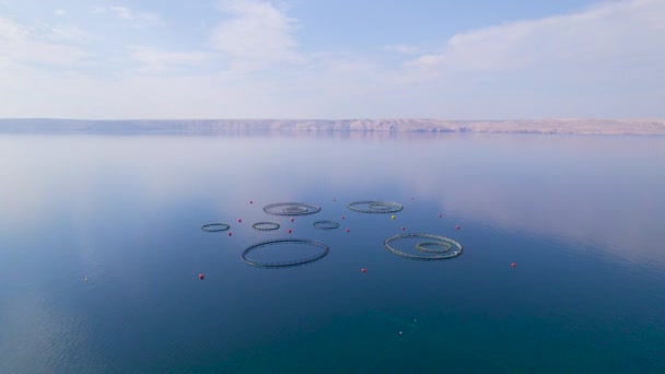 Aerial Net Pen Enclosures Fish Farming Middle Adriatic Sea Industrial — Stock Video