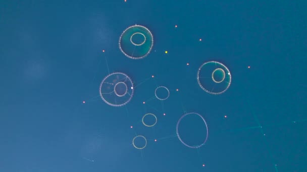 Aerial Аквафарм Круглими Сітками Забезпечує Рибне Господарство Адріатичному Морі Промислове — стокове відео