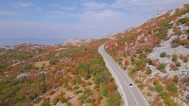 Adriyatik otoyolu güzel sonbahar kıyısı boyunca uzanıyor. Sonbahar mevsiminin canlı renk tonlarında parlayan engebeli Akdeniz manzarasının kucakladığı panoramik asfalt yol.