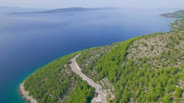 Adriyatik Denizi kıyısındaki dolambaçlı panoramik otoyolu çevreleyen yeşil çam ormanı. Mavi deniz kıyısındaki resim gibi kıyı şeridi ve asfalt yol engebeli Akdeniz arazisi boyunca yemyeşil yemyeşil