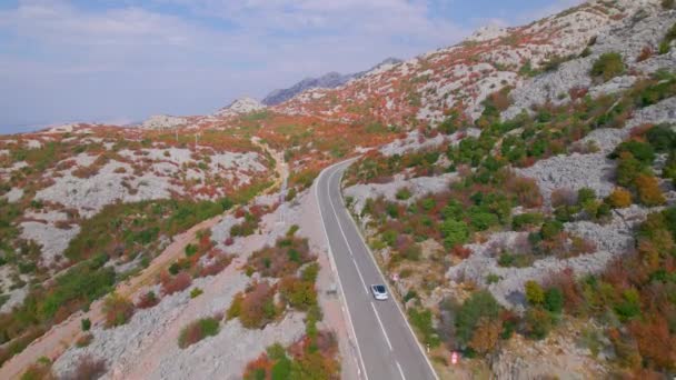 Aerial Adria Autópálya Mentén Gyönyörű Őszi Tengerparton Panoráma Aszfalt Ölelésében — Stock videók