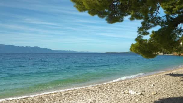 Dolci Onde Mare Adriatico Cristallino Spiaggia Ghiaia Una Giornata Estiva — Video Stock