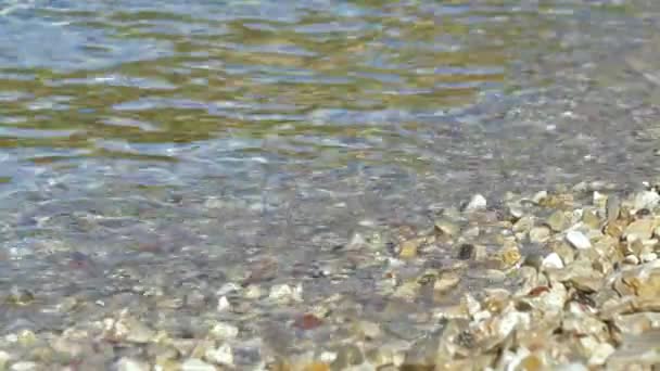 Kristal Gibi Berrak Deniz Dalgaları Adriyatik Kıyılarının Üzerine Dökülüyor Dalmaçya — Stok video