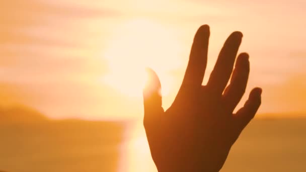 Життя Клуже Перед Жінки Махає Рукою Жінки Золотого Сонця Заходить — стокове відео