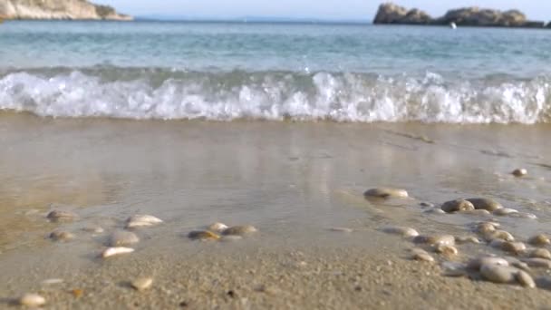 のDofは スローモーション 小さな海の波砂の海岸の小石で散らばって流出した 晴れた夏の日にダルマチアのHvar島の美しい海岸線に沿って波状アドリア海の穏やかな景色 — ストック動画