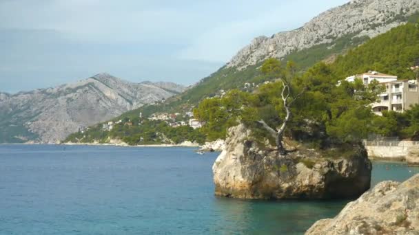 観光シーズン外の青いアドリア海によって絵のように静かな海岸 海岸から切り離され ダルマチアの観光村ブレラの近くの松の木で生い茂った石の自然な特徴 — ストック動画