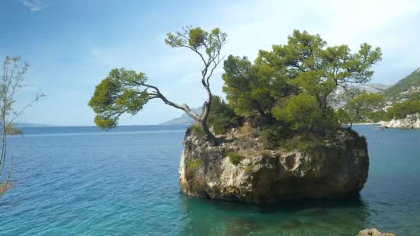 Célèbre Pierre Brela Entourée Mer Adriatique Cristalline Par Une Journée — Video