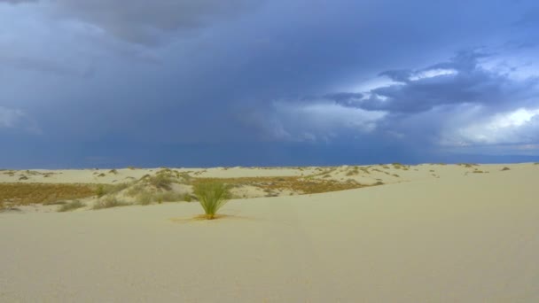 Mörka Stormmoln Samlas Ovanför Vackra Vita Sanddyner Med Gles Vegetation — Stockvideo