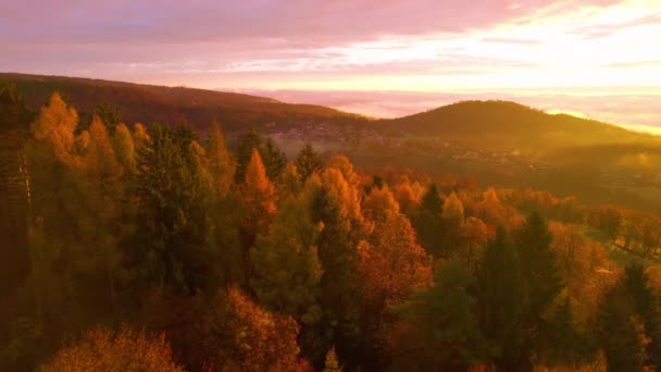 Aerial Kleurrijk Herfstbos Gloeiend Spectaculair Gouden Ochtendzonlicht Prachtige Start Van — Stockvideo