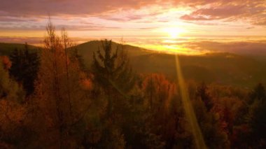 AERİAL, LENS FlaRE: sabah güneş ışınları rengarenk sonbahar ormanı üzerinde parlar. Canlı renkli ağaçların tepeleri sabahın ilk ışıklarıyla parlıyordu. Güne başlarken muhteşem bir an Güzel sonbahar mevsiminde. 