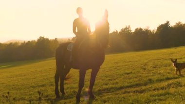 PORTRAIT, LENS FlaRE: güzel kahverengi bir atın üzerinde eyer genç neşeli kadın. Şirin bir köpekle birlikte, altın güneş ışığıyla parlayan güzel sonbahar manzarasında at sürmeye gitti..