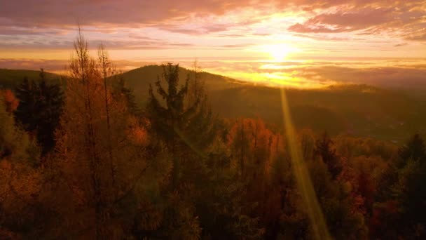 Aerial Lens Flare Första Solstrålarna Skiner Över Färgglada Höstskogar Livfullt — Stockvideo