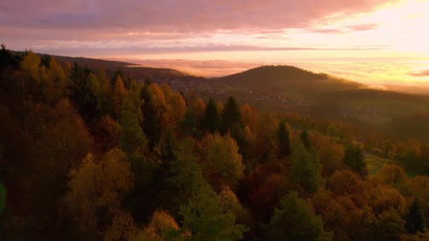 Aerial Lens Flare Magnifik Solnedgång Över Färgglada Höstskogar Landsbygden Livfullt — Stockvideo