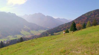 Sonbahar yürüyüşü sırasında köpeğiyle Alp Vadisi 'nin yukarısındaki çayırda bir bayan. Güneşli bir günde parlayan sonbahar mevsiminin renkli gölgelerinde dağların ve yemyeşil ormanların manzarasının tadını çıkarıyor..