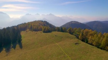 Güneşli bir günde parlayan bir çayırın kenarındaki altın tarla ağaçları. Arka planda muhteşem yüksek dağlar olan renkli sonbahar ormanı. Yüksek irtifada güzel doğa.