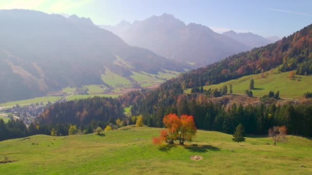 Aerial Hermoso Prado Verde Sobre Valle Alpino Rodeado Bosque Otoñal — Vídeos de Stock