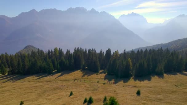 Aerial Чудові Гірські Пейзажі Групою Туристів Йдуть Луговій Стежці Вони — стокове відео