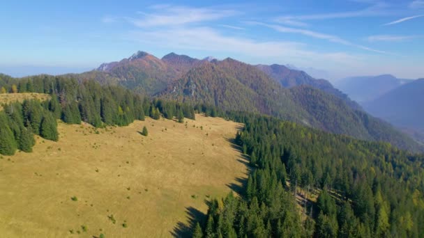 Aerial Alpine Hillsides Lush Forests Vibrant Autumn Shades Sunny Day — Stock Video