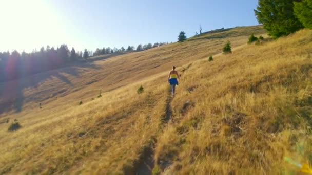Aerial Pradera Alpina Otoño Con Una Joven Deportista Que Camina — Vídeos de Stock
