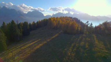 Arka planda görkemli zirveleri olan bir dağ sırtında parlayan tarla ağaçları. Renkli kozalaklı ormanın arka planında inanılmaz yüksek dağlar var. Yüksek irtifada güzel doğa.