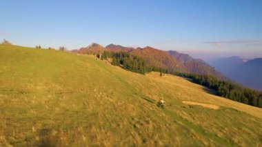 AERİAL Dişi motorcu köpeğiyle birlikte pitoresk bir dağın zirvesine doğru yükseliyor altın günbatımında sonbahar renklerinde parlayan güzel dağ manzarasında elektrikli bir bisiklet sürüyor..