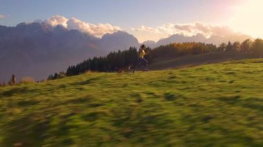 Altın gün batımında köpeğiyle Alpine Meadow Hill 'in tepesinde koşan bir kadın. O ve sevimli köpeği, fevkalade bir sonbahar gününde sersemletici bir dağ zeminiyle çimenli bir tepe boyunca hızla koşarlar..