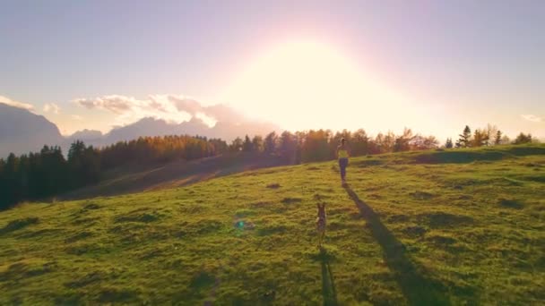 Aerial Fit Kobieta Biegnie Psem Malowniczym Trawiastym Wzgórzu Złotym Świetle — Wideo stockowe
