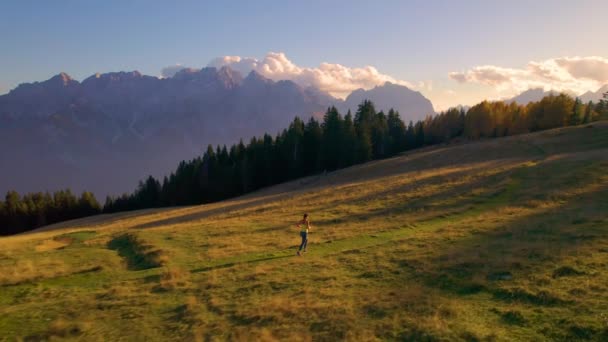 エリアル 絵のようなアルプスの牧草地で彼女の犬とジョギングする運動の若い女性 秋の太陽の黄金の光が 谷に向かって後ろに走っているとき 風光明媚な山の風景にこぼれる — ストック動画