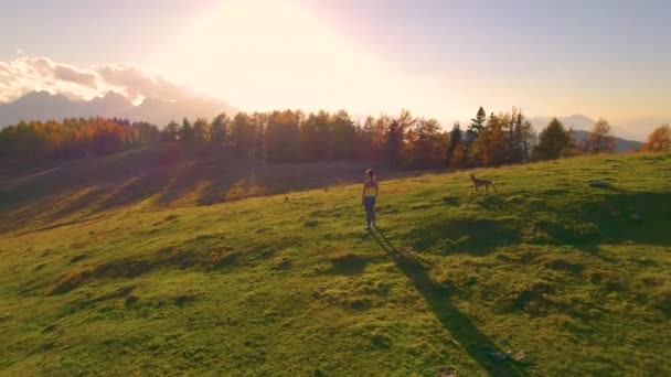Гарненька Леді Стоїть Вершині Пагорба Захоплюється Видом Після Бігу Собакою — стокове відео