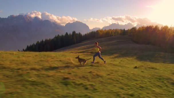 Aérial Lady Jogging Avec Son Chien Sommet Colline Prairie Alpine — Video