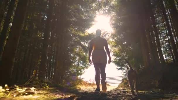 Lens Flare Low Angle View Lady Vandring Med Sin Hund — Stockvideo