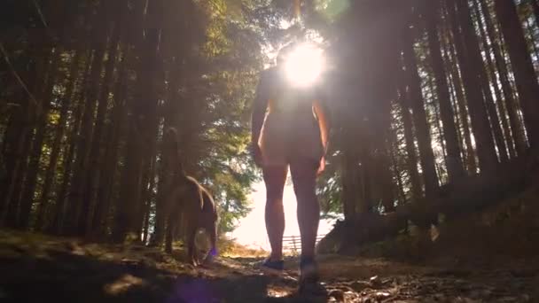 Lens Flare Low Angle View Ung Dam Vandring Med Sin — Stockvideo