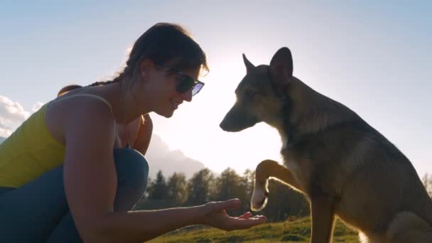 Lens Flare Gouden Zonsondergang Lachende Dame Vraagt Haar Hond Een — Stockvideo