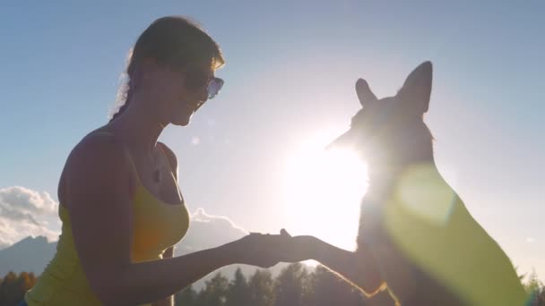 Close Lens Flare Lächelnde Junge Frau Bringt Ihrem Süßen Hund — Stockvideo